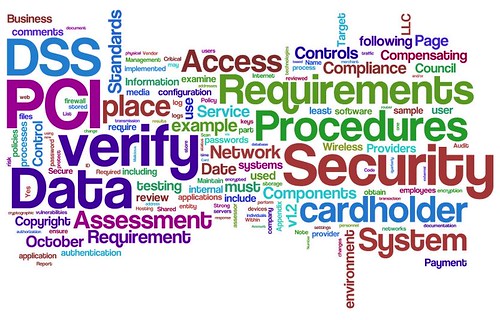 Information Security Wordle: PCI DSS v1.2 (try #2)