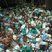 Pile of seltzer bottles