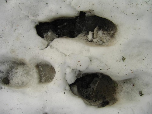 Footprints in the snow at Barberville Falls
