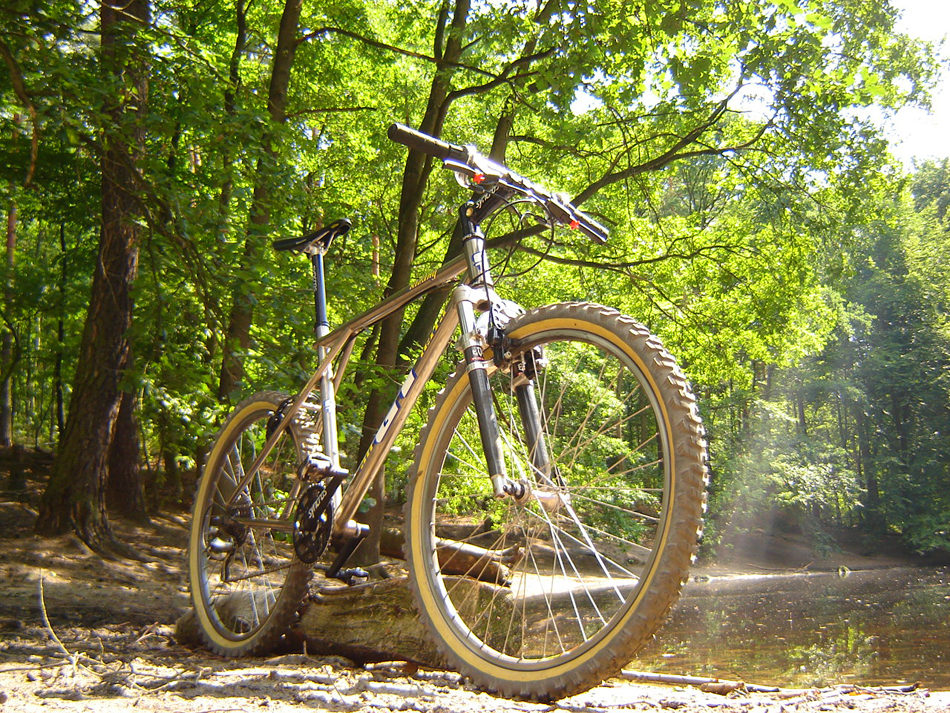 Post your GT here!!! | Page 34 | Mountain Bike Reviews Forum