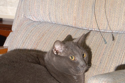 dsc_3574.jpg