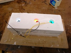 the leds in the mold