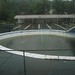 Nasty rainwater filled pool