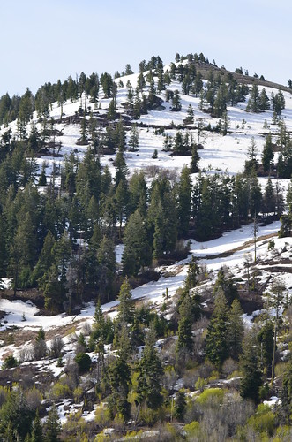 Snow on Shafer Butte