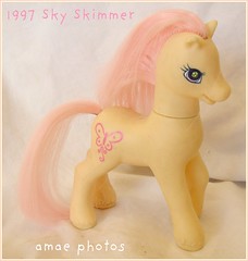 1997 Sky Skimmer