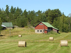 Farm picture