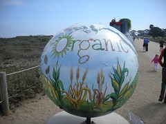 The Organic Food Globe