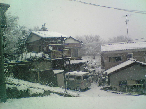 winter in Yokohama
