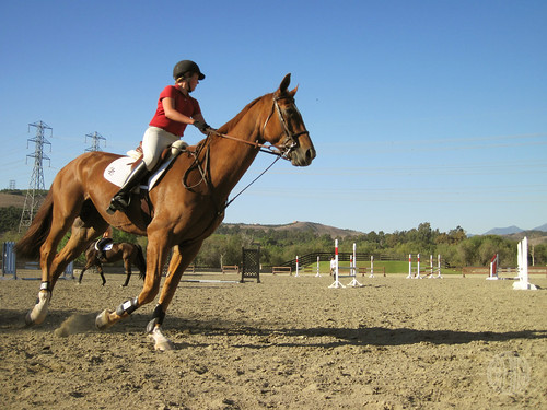 cantering