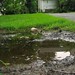 Puddle on the lawn