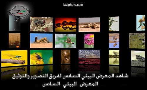 our 6th photography exhibition in kuwait