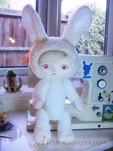 Albino Bunny