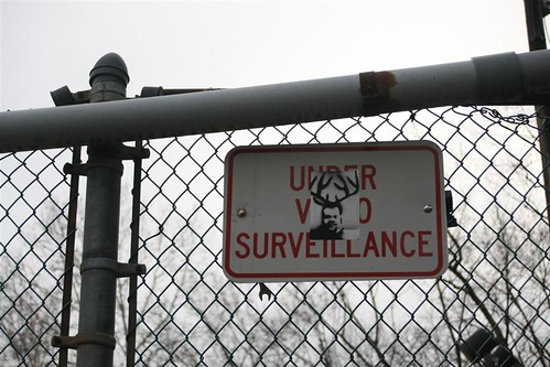 Vinny Raffa stencil on video surveillance sign