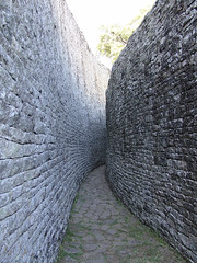 Between the walls