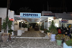 Porphyra