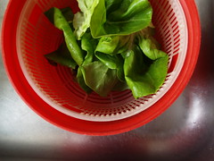 Grøn salat