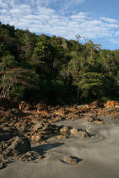 beach_airpapan rocky