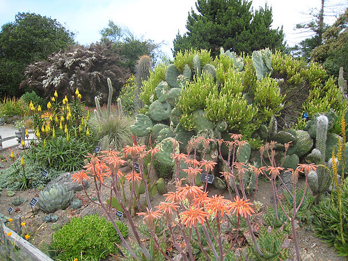 Mendocino Botanical Garden