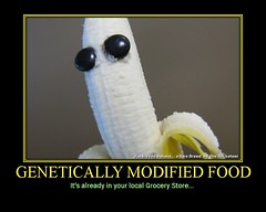 GENETICALLY MODIFIED FOOD