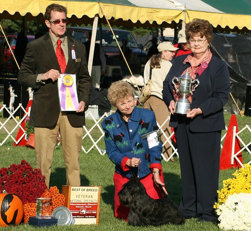 Best of Breed Montgomery County 2008 cropped