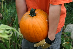 sam carries the pumpkin