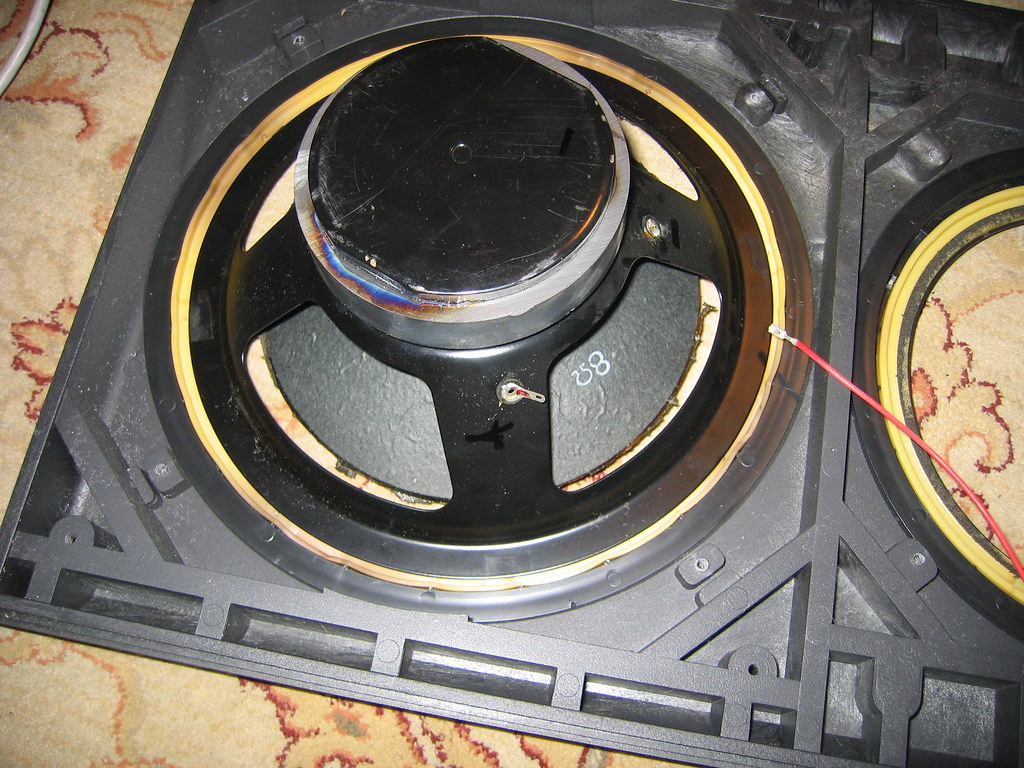 2994723672_9503aaa55f_b.jpg