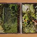 CD-Cover Celarda -Aussenansicht
