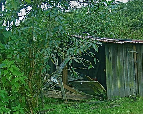 ecuador-shack
