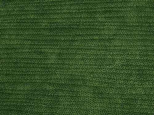 green quilting