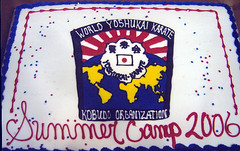 Summer Camp cake
