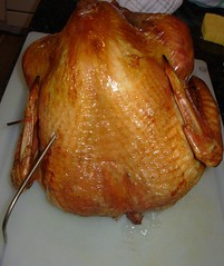 this is a turkey