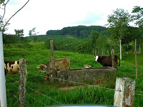 Ecuador-agricultural-land
