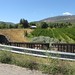black bridge vineyard and train