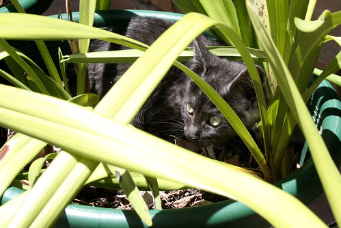 Winnie Outside