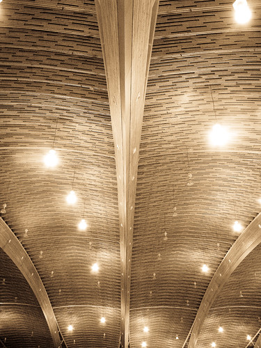 Ceiling of the Richmond Olympic Oval
