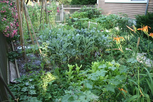 home garden 1