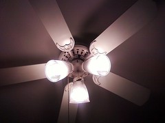 CFLs for the Fan at our house