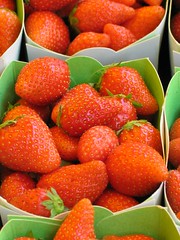 Anglų lietuvių žodynas. Žodis fraise reiškia frazes lietuviškai.