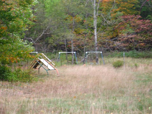 Overgrown playground swingset