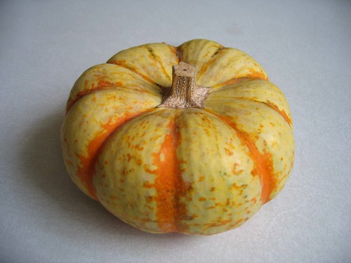 calabaza 03 • <a style="font-size:0.8em;" href="http://www.flickr.com/photos/30735181@N00/3362169145/" target="_blank">View on Flickr</a>
