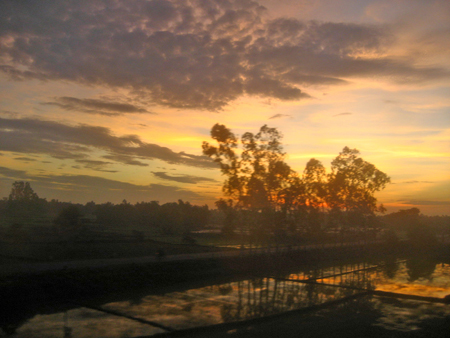 Dawn on rice paddies in Da Nang