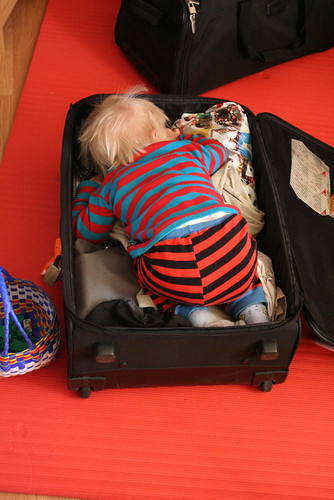 32/365 - Take me in your suitcase?