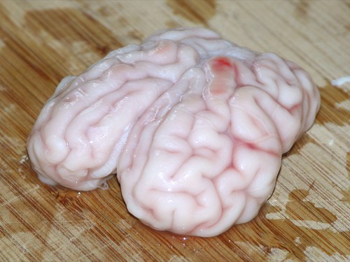 Lamb's brain