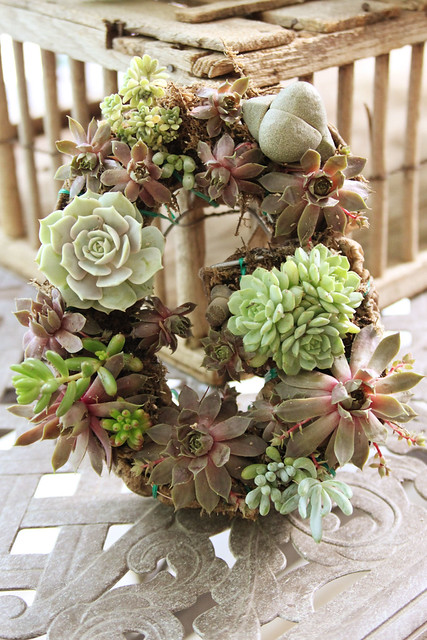 succulent wreath diy tutorial