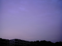 Morning glow  (izone 550 WB:Fluorescent)