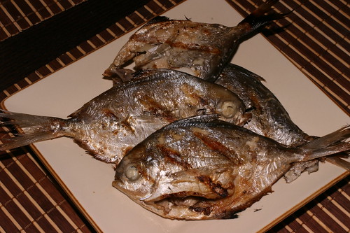 grilled butterfish