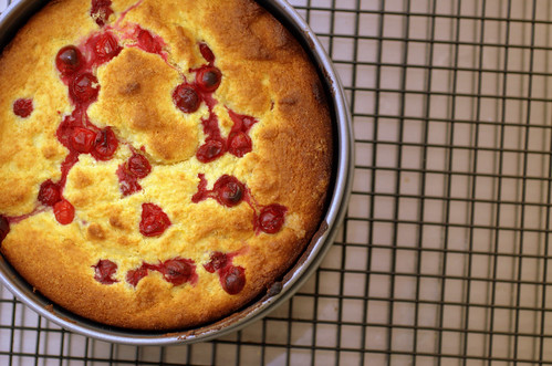 cornmeal ricotta cake with cranberries