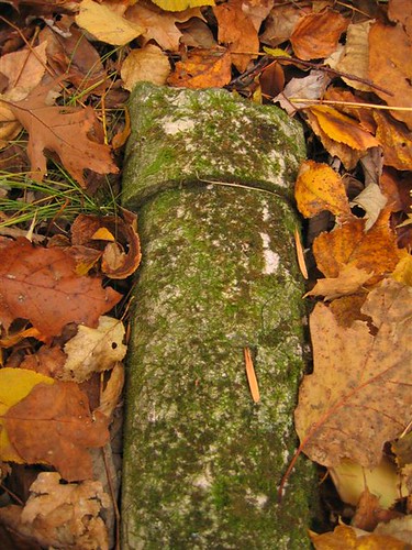 Moss covered concrete pipe