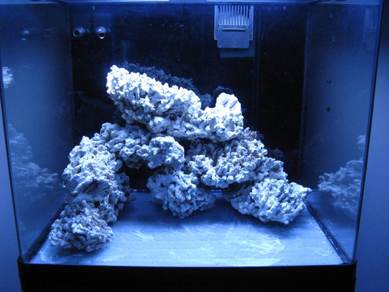 Aquascape rock - Beginners Discussion - Nano-Reef.com Forums