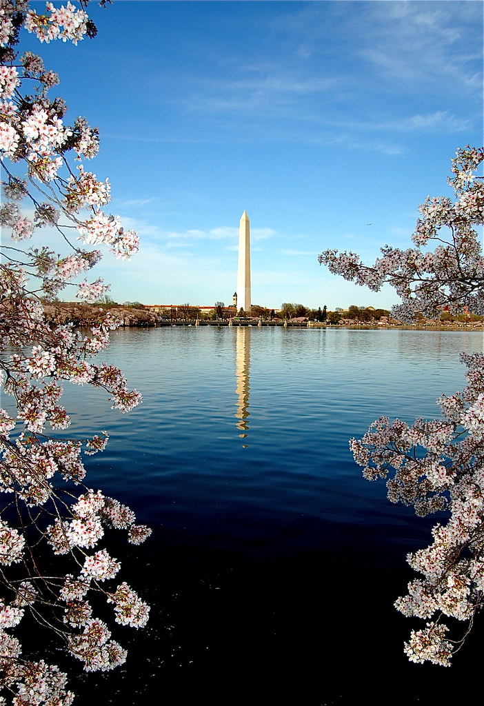Washington Monument reflected